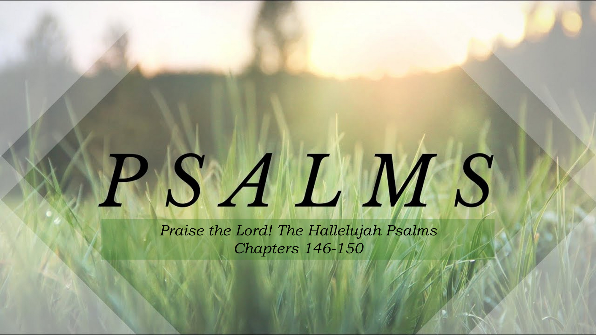 Praise the Lord! The Hallelujah Psalms